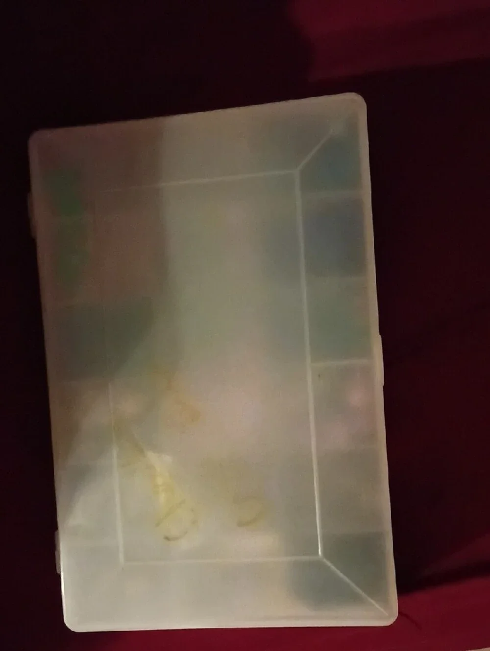 Plastic Compartment Jewelry Organizer Box in Clear/White